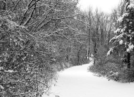 Little_river_preserve_3