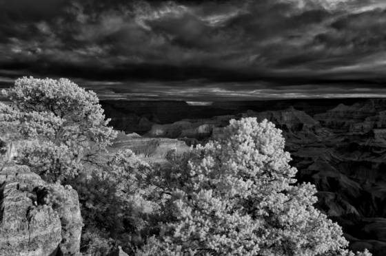 Untitled_11