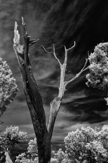 Untitled_5