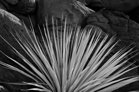 Untitled_8