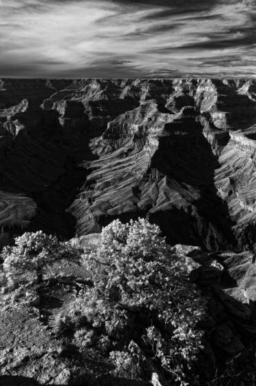 Untitled_9