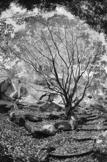 In_maymont