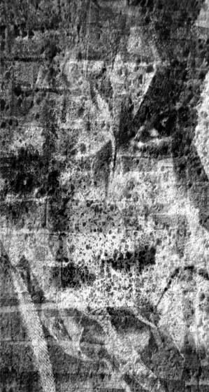 Face_with_stone