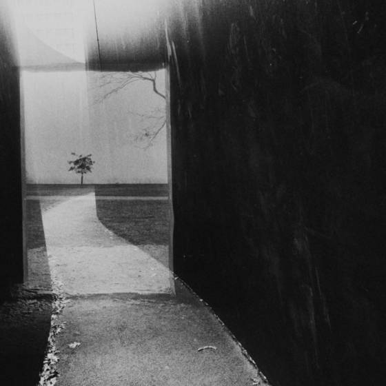 Beyond_the_wall