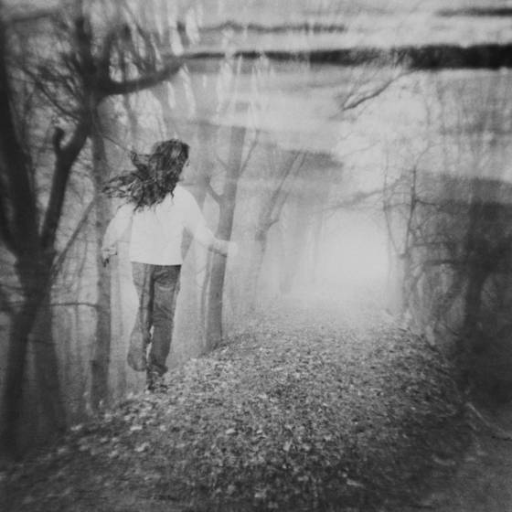 Natural_attraction_to_light