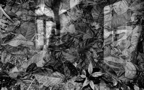 Hypothetical_dream__4