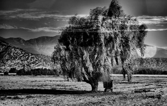 Hypothetical_dream__9