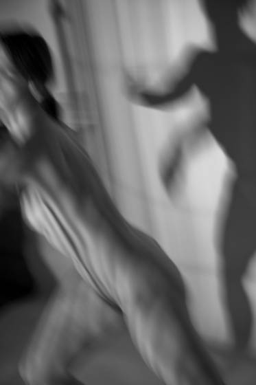 Shadows__7