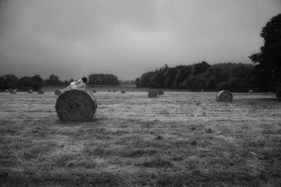 42_bales_of_hay