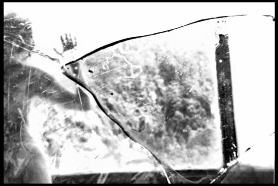 An_unbearable_journey_4