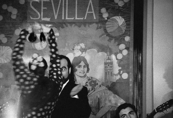 Flamenco_eyes