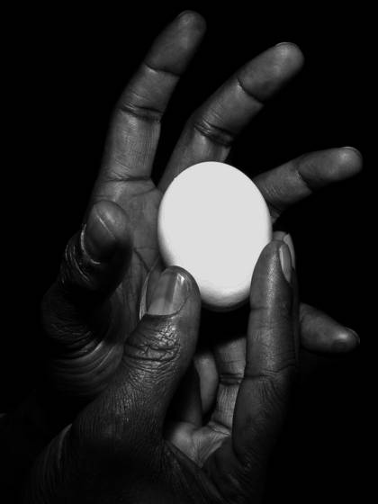Bruce_s_hand_with_egg__2