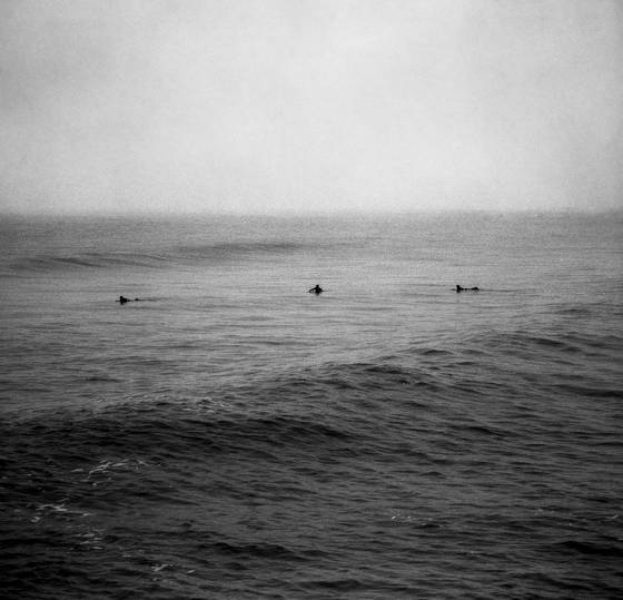 Untitled_1