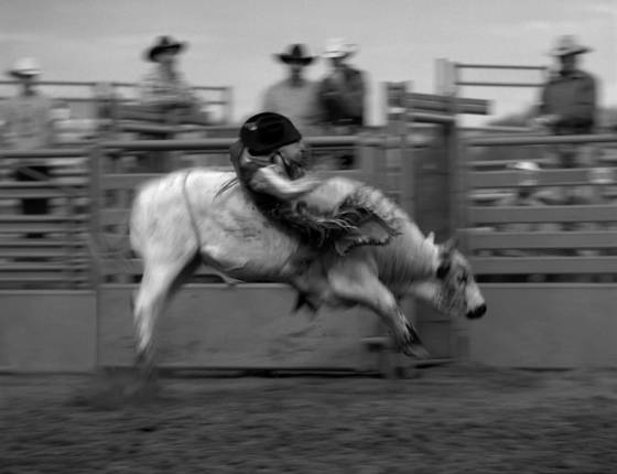 Bucked