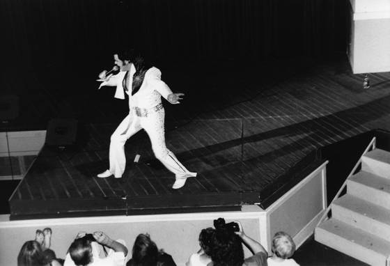 Almost_elvis