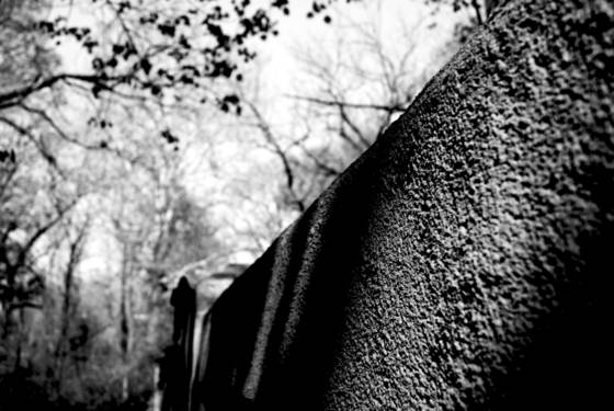 Untitled_7