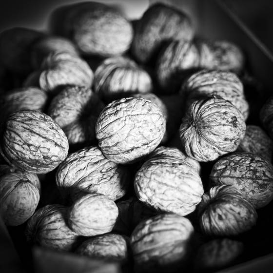 L_atelier_de_claude_-_walnuts