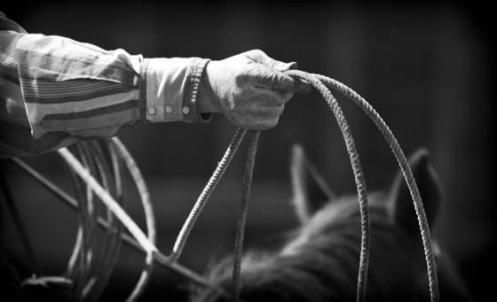 Ropin_