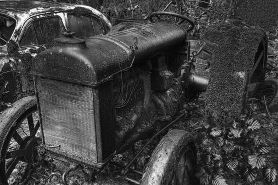 Untitled_08