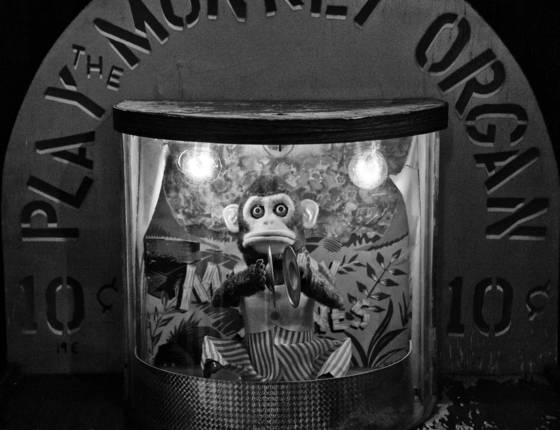 Monkey_organ