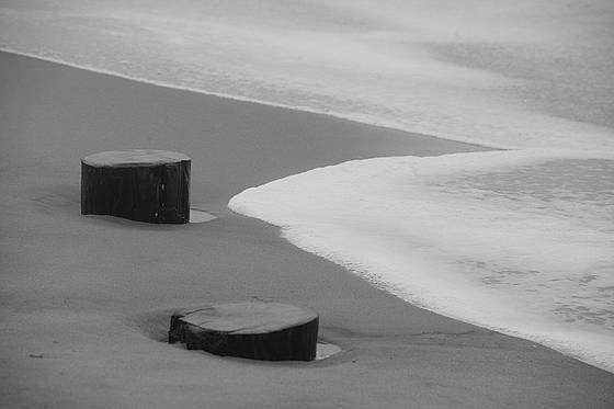 Cape_may_shore