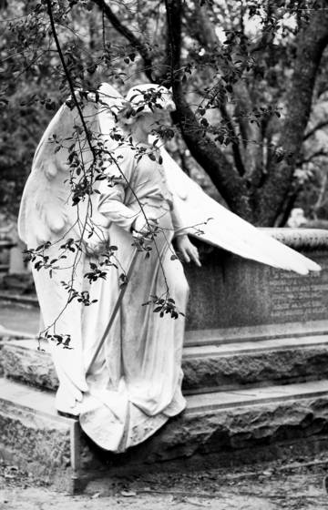 Angel