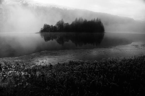 Trees_on_loch_chon