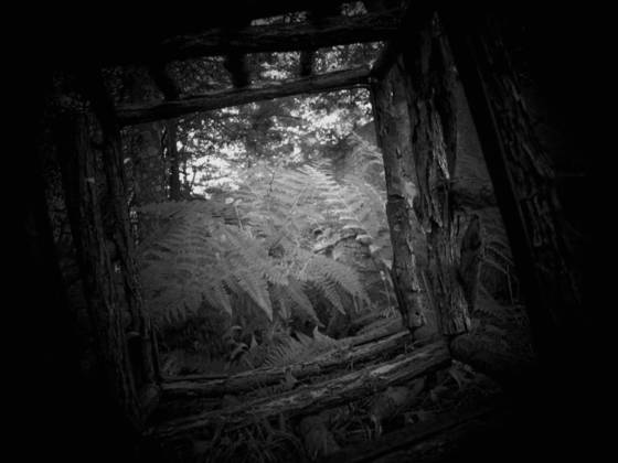 Untitled_9