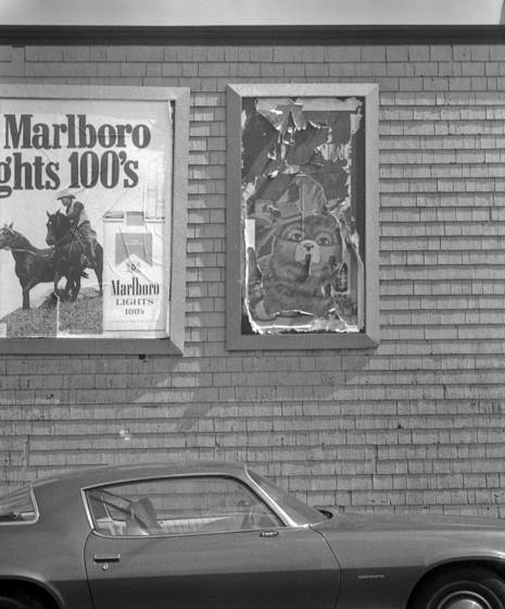 Camaro_and_signs