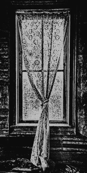 Abandoned_shack