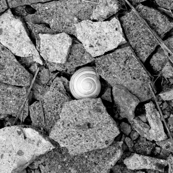 Untitled_1