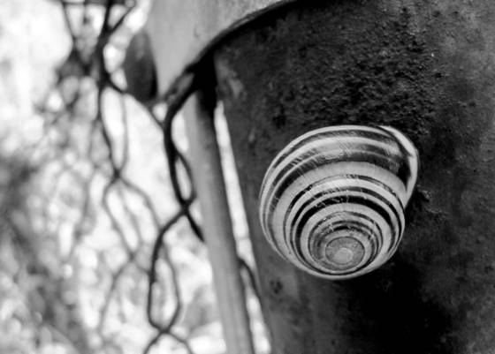 Untitled_5