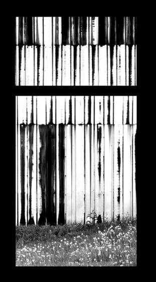 Untitled_8