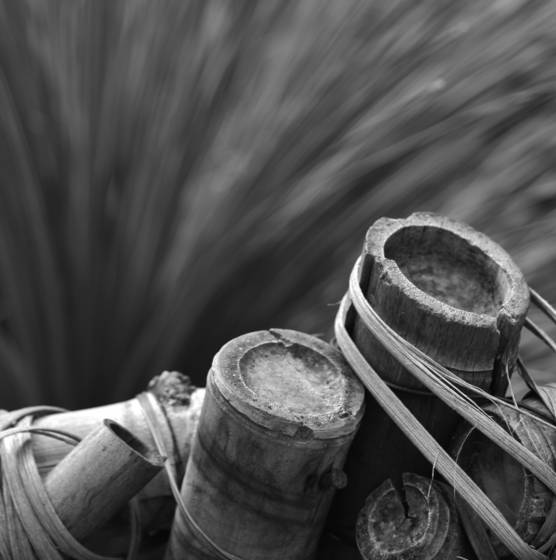 Pan_flutes
