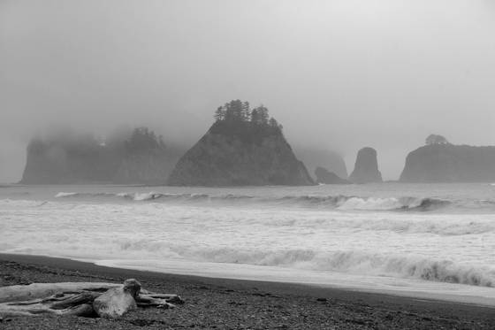 Pinnacles_in_the_mist