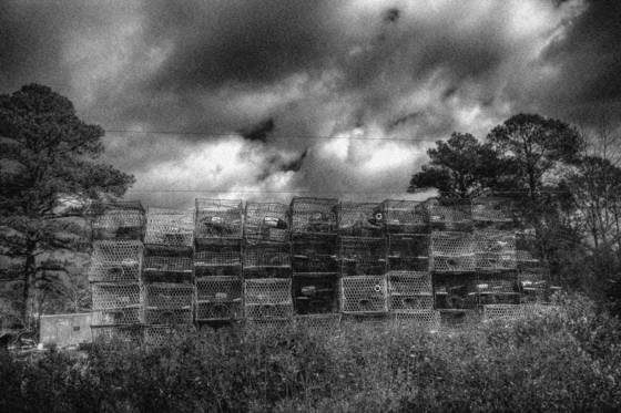 Crab_traps