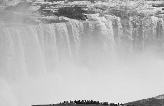 The_greatest_show_on_earth