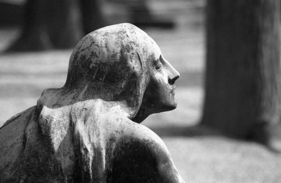 Untitled_3