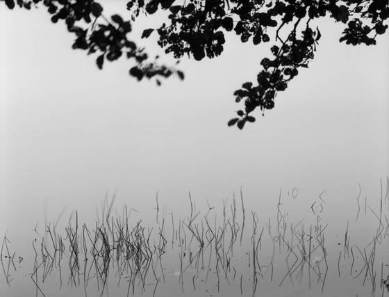 Grasmere_shore_7