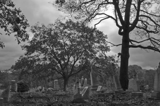 Cemetery_2