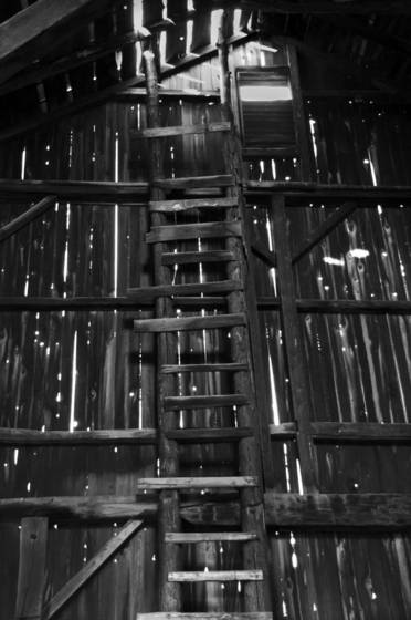 The_old_barn