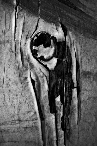 Strange_fruit_still