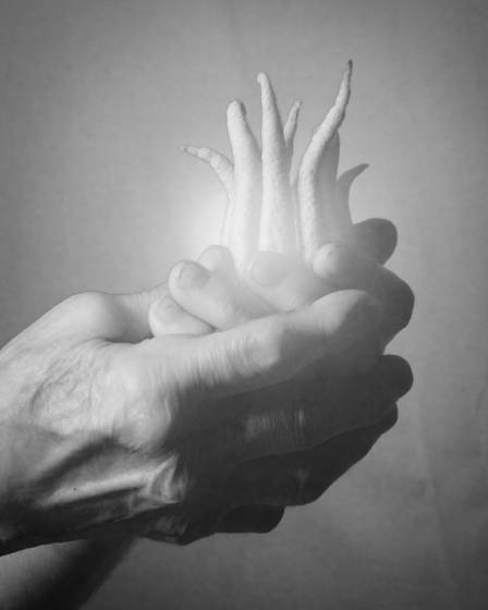 Citron_in_cupped_hands