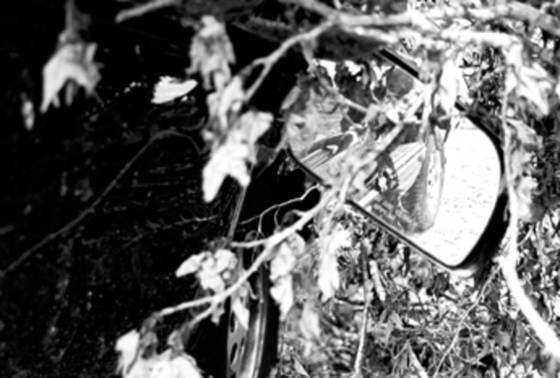 Repairs_needed_ii