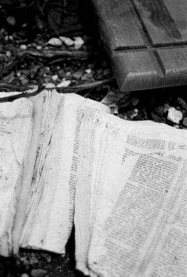 The_book_ii