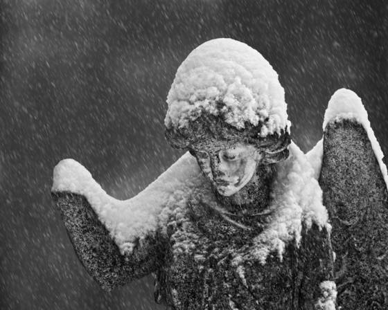 Snowy_vigil
