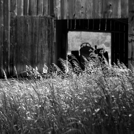 Burfiend_farm