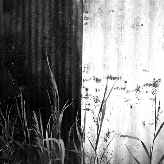 Half__n_half