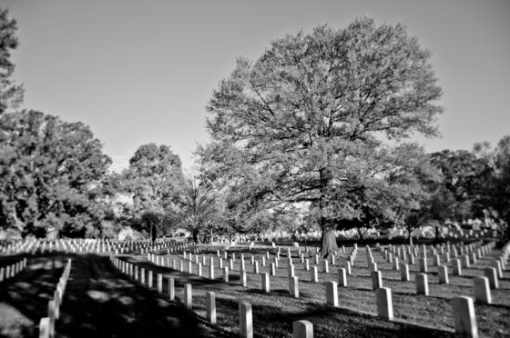 Arlington_in_autumn