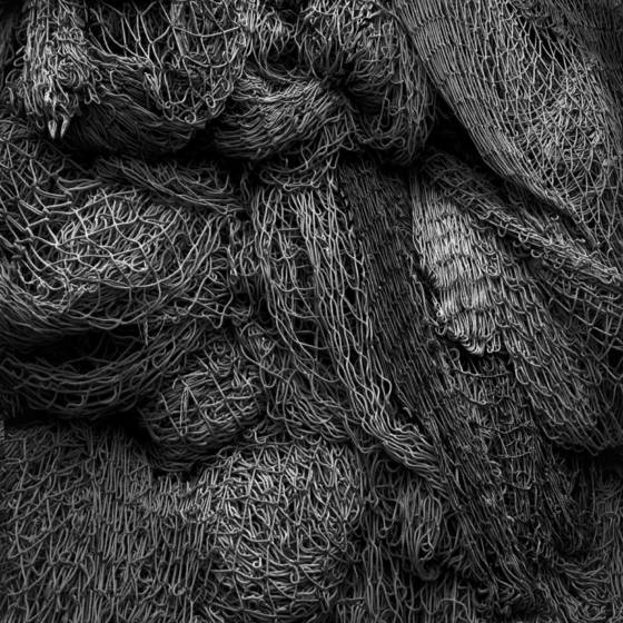 Fish_netting